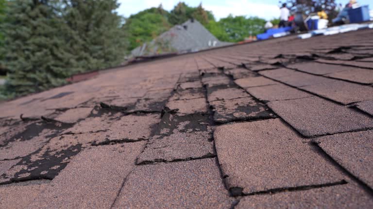 Best Steel Roofing  in Dinuba, CA