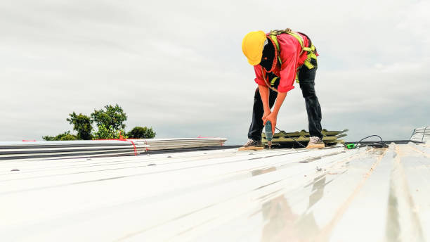 Best Roof Moss and Algae Removal  in Dinuba, CA